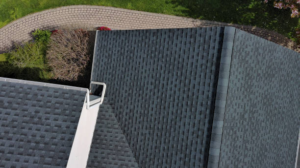 Best Roof Waterproofing  in Eclectic, AL